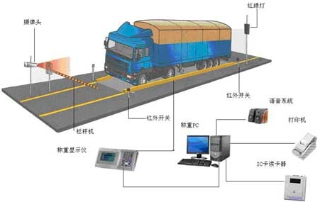 路德发展趋势